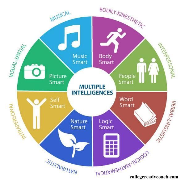 multiple intelligence wheel